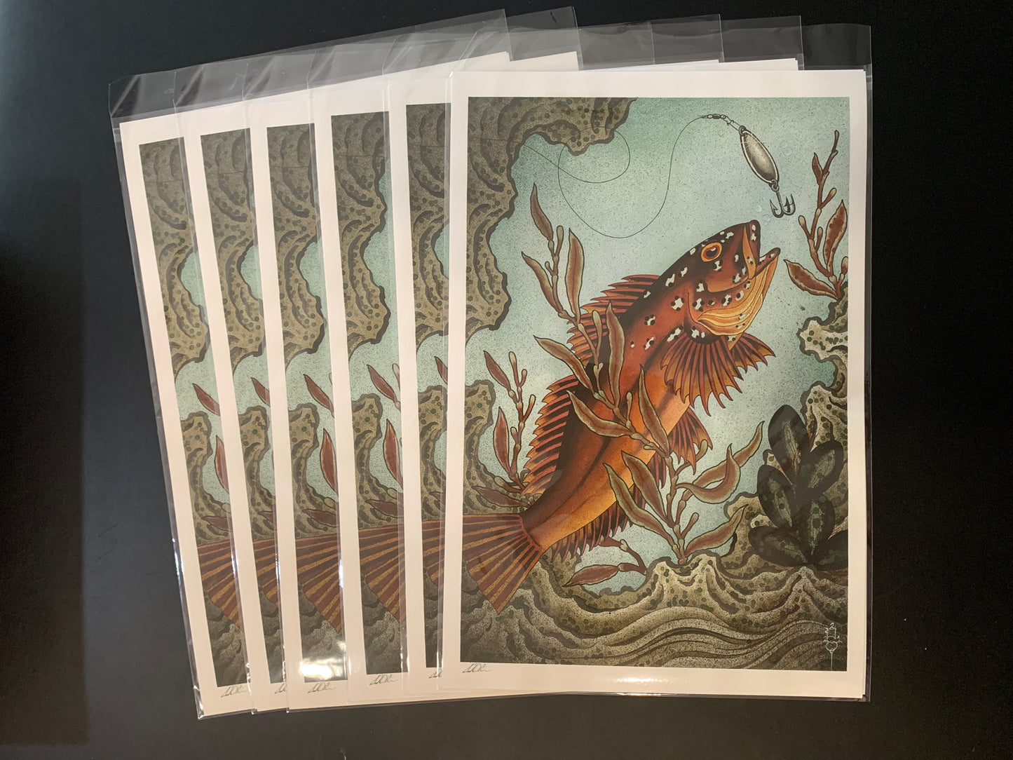 Kelp Greenling Print 12”x18”